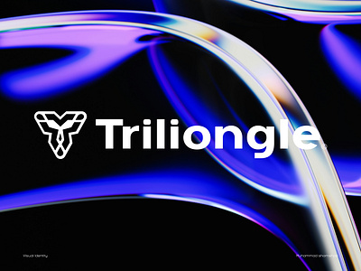Visual Identity - Triliongle© brand branding design graphic design identity illustration logo logodesign ui vector