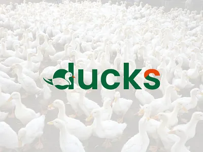 ducks Logo Design creative logo design