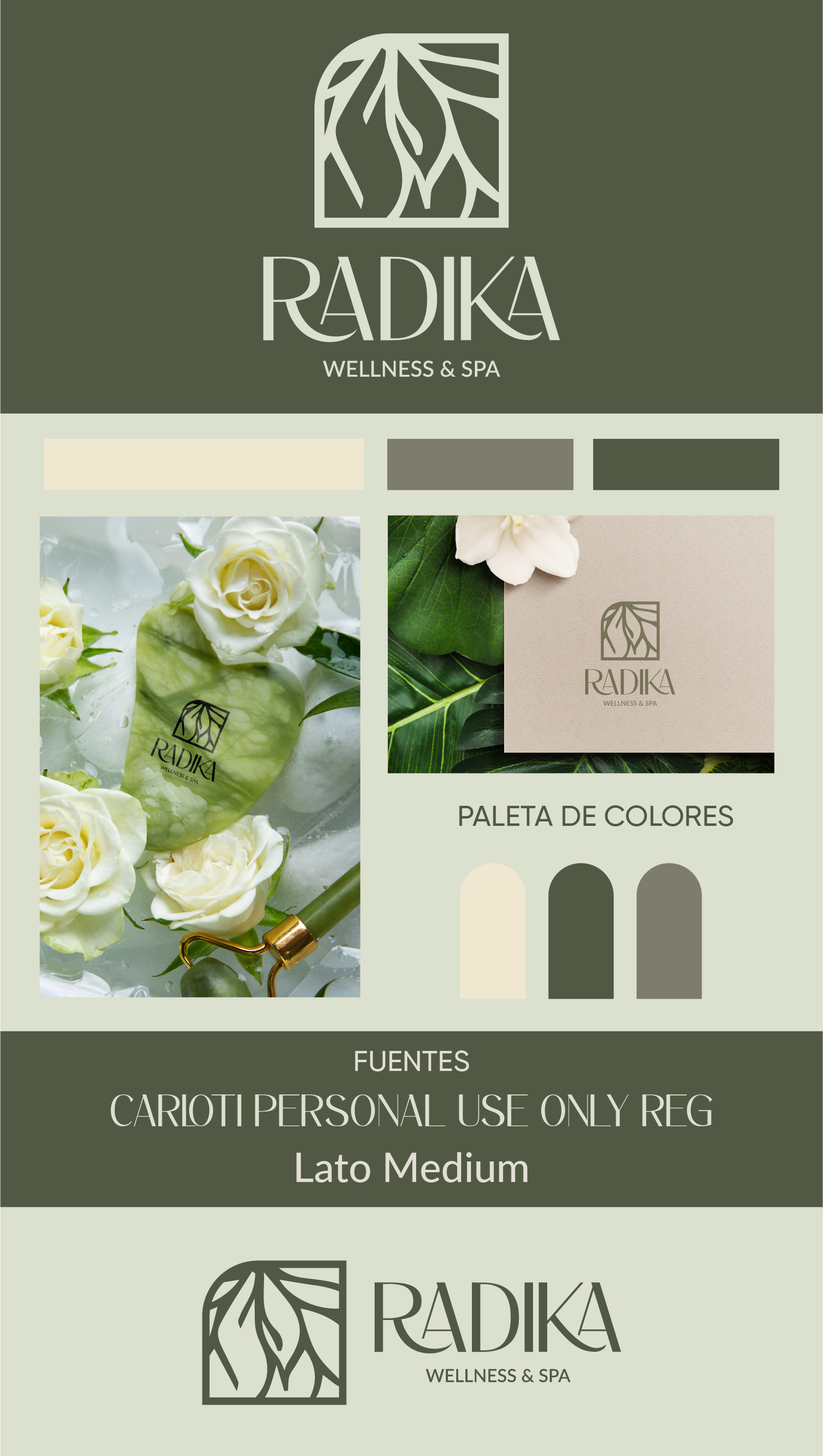 Logo: Wellness & Spa branding design graphic design illustration logo vector