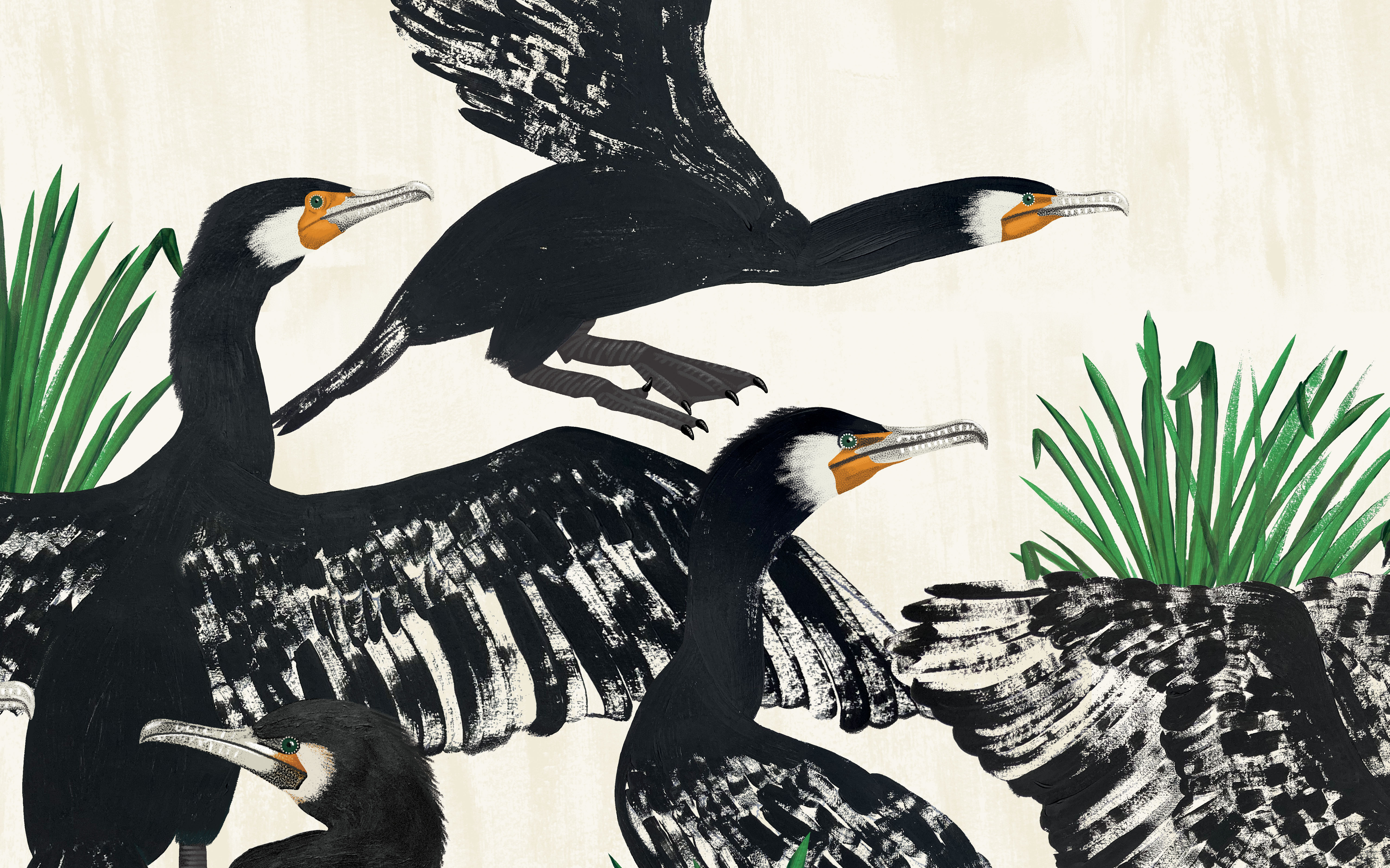 Cormorant Print illustration painting print design surface design