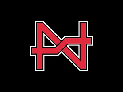 S + N Monogram Logo branding design graphic design logo monogram vector