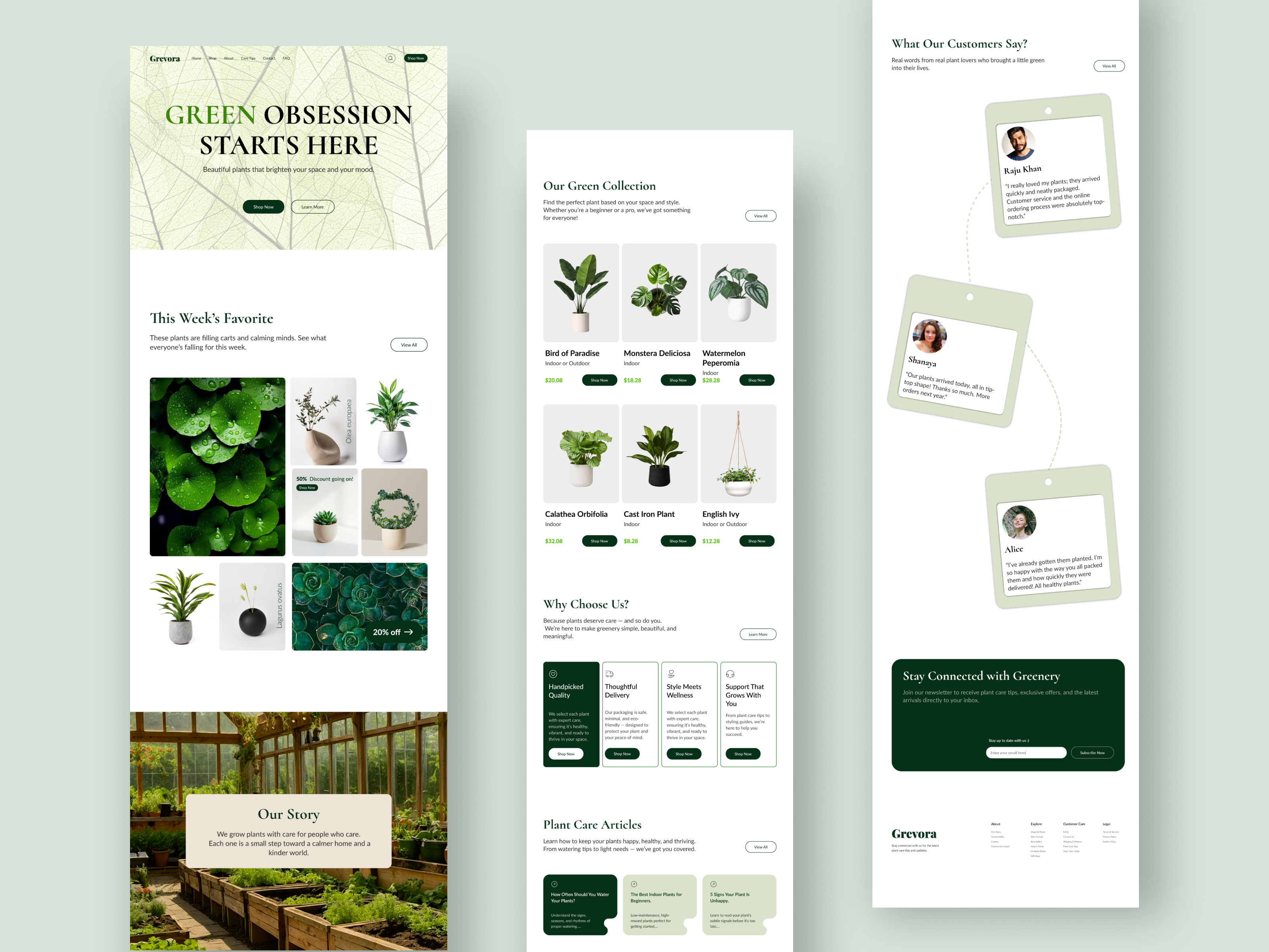 Minimal Plant E-Commerce Website Design app ecommerce graphic design landing page minimal design minimal web minimal web design plant trendy ui uiux ux web website