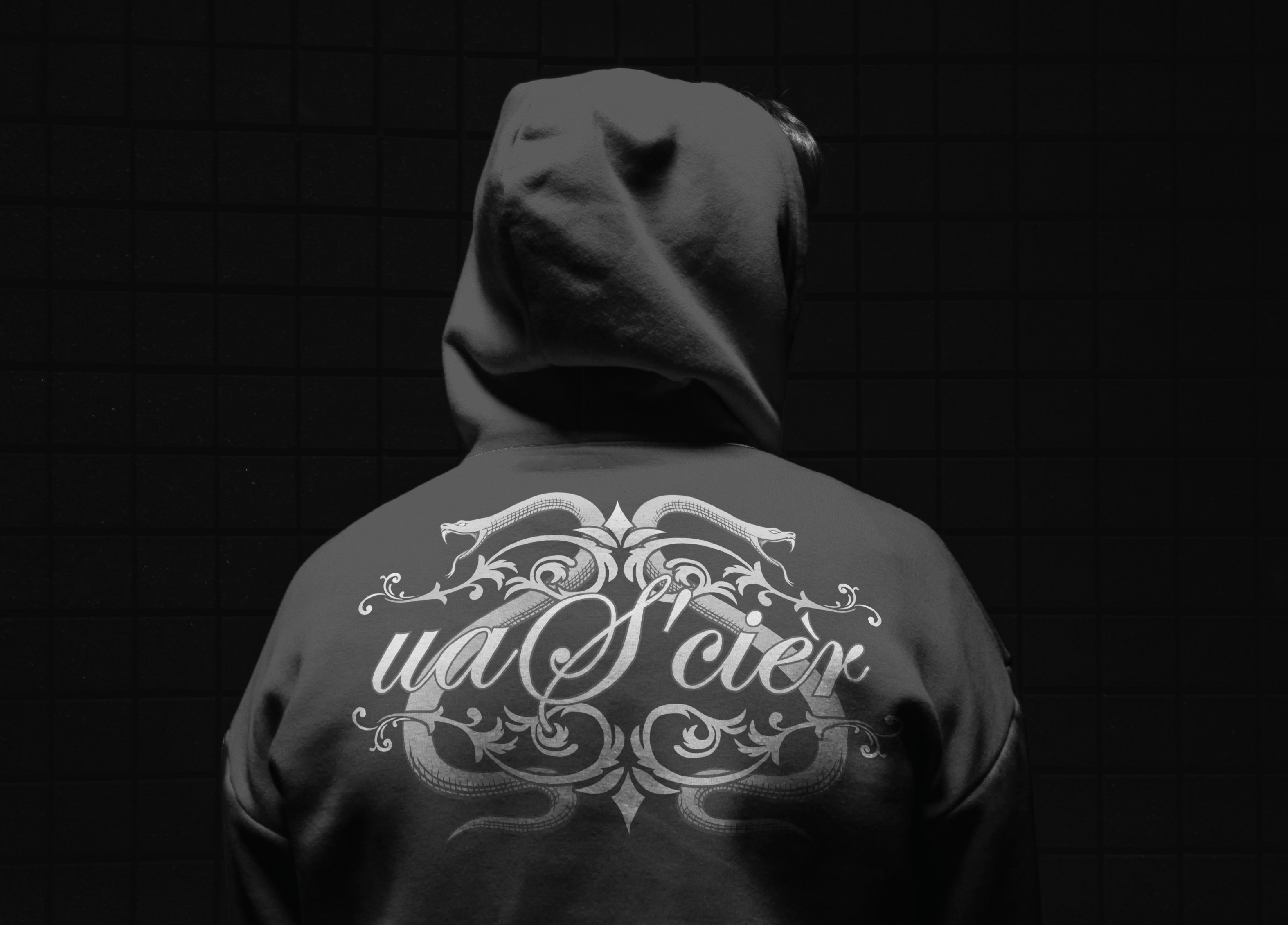 Logo & clothing design branding clothing custom logo graphic design heraldic logo hoodie logo tshirt design