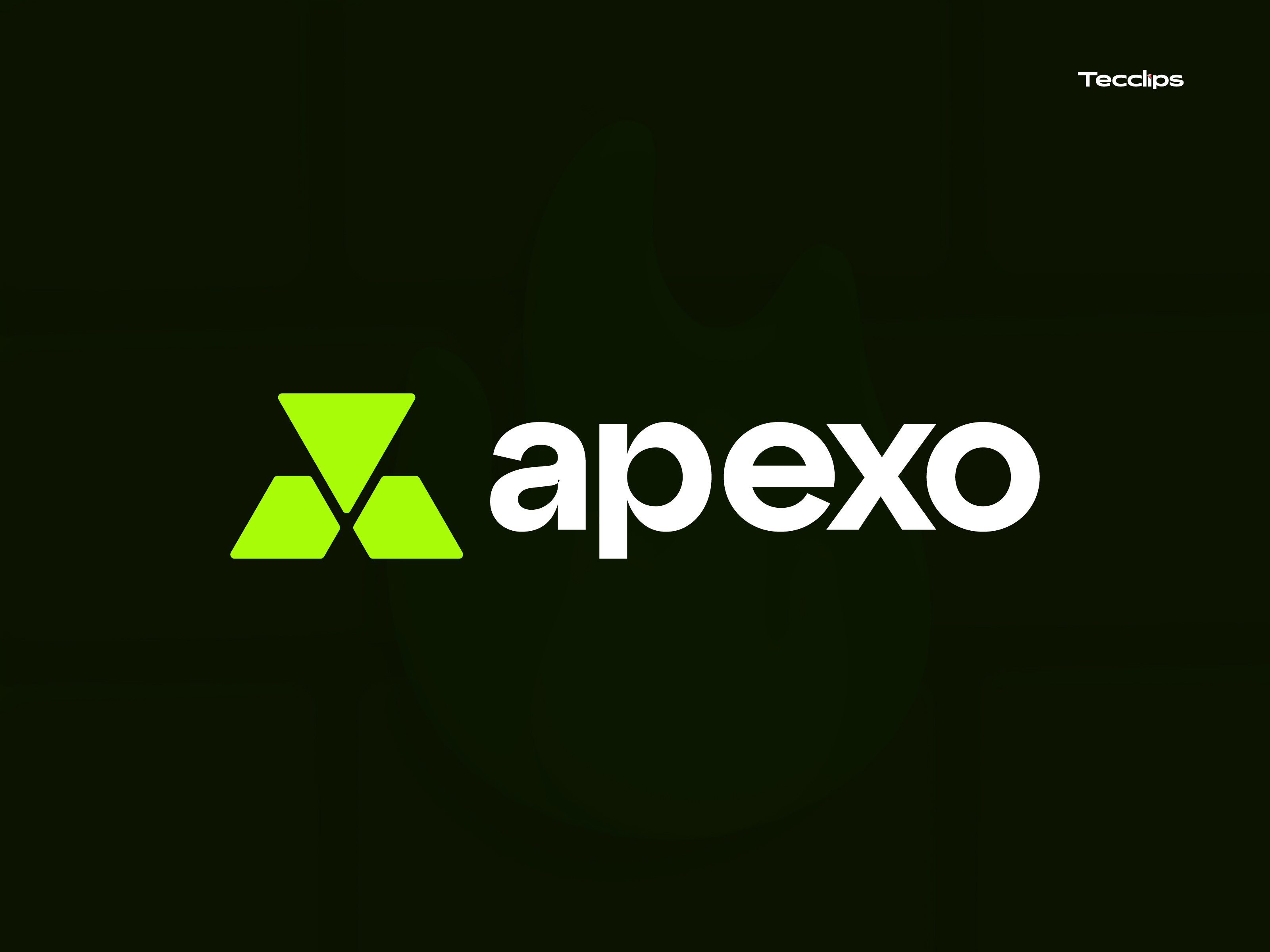 Example of Basic Logo Design | Startup Web3 Agency