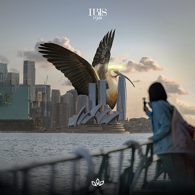 IBIS 1920 affiche graphic illustration photoshop