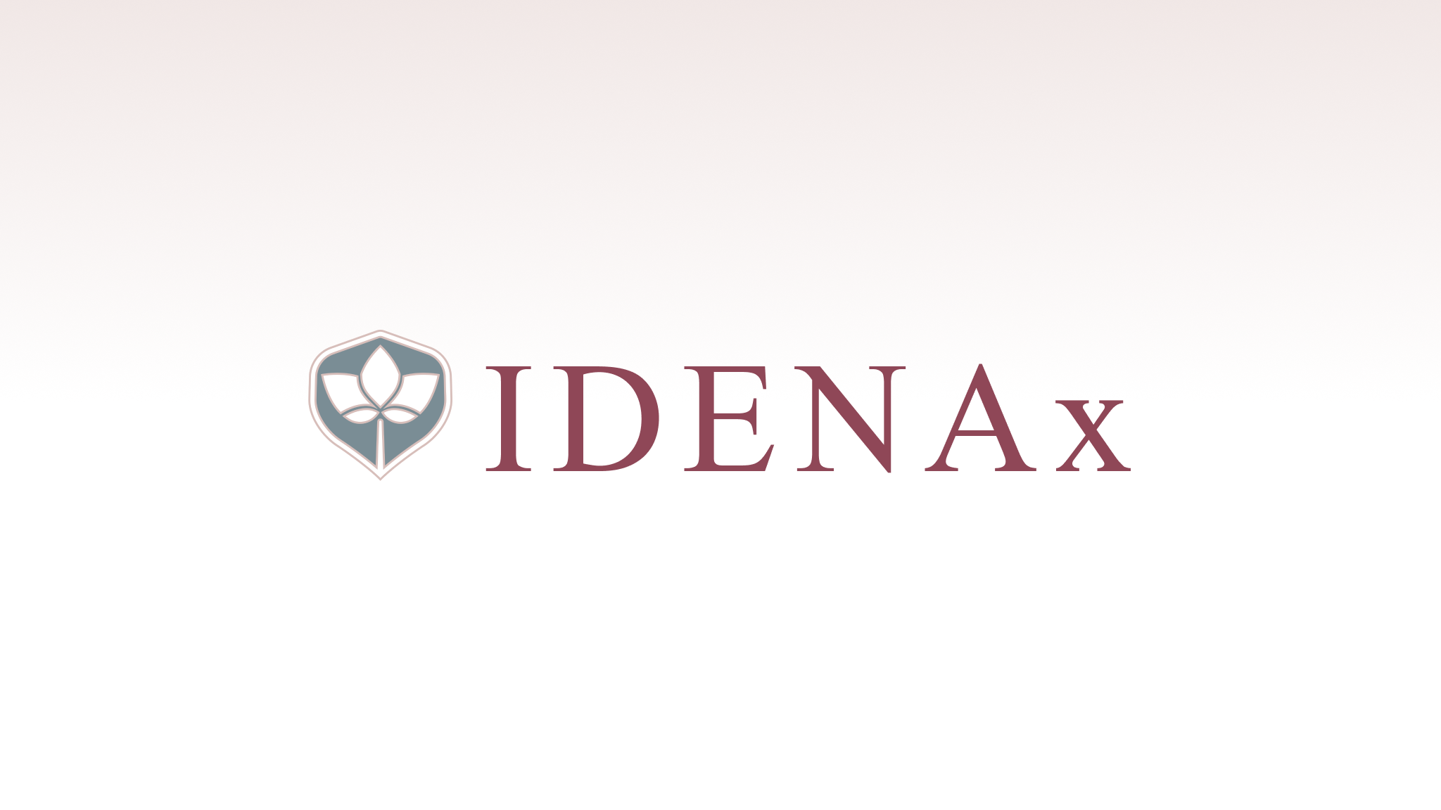 Example of IDENAx