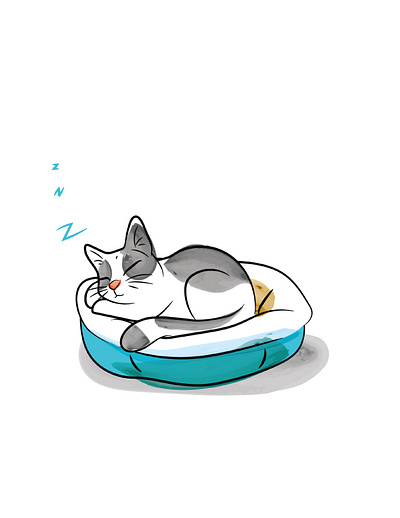childrens book illustration cat character childrensbookillustration custom illustration freelanceartist illustrator
