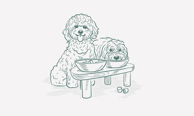 Drawing animal drawing line art minimal art