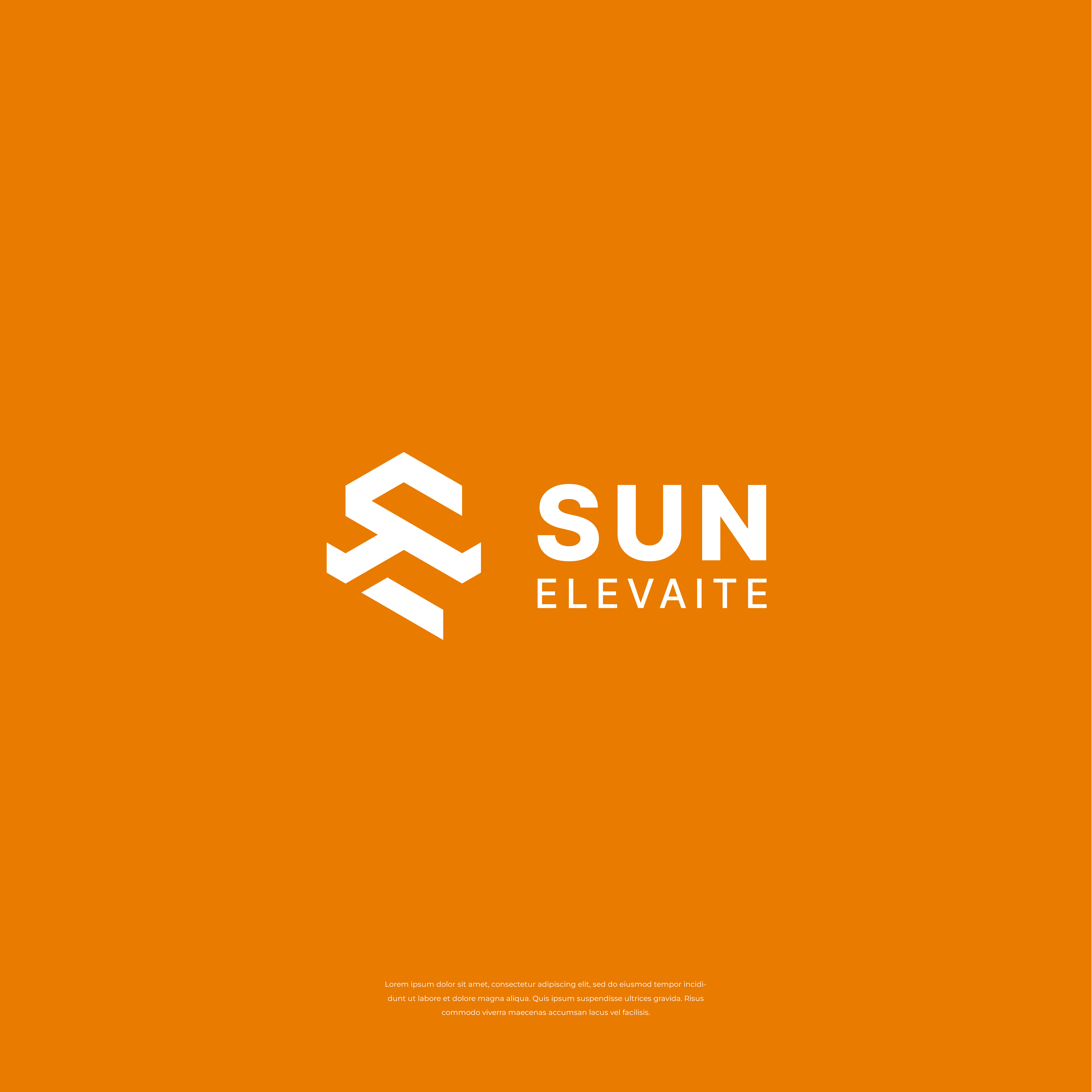 Solar Solutions Company Logo Design. branding creative design logo design logodesign logotype plant