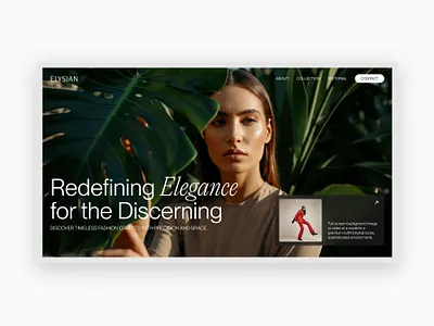 Premium High-end Fashion Website design interface design web design