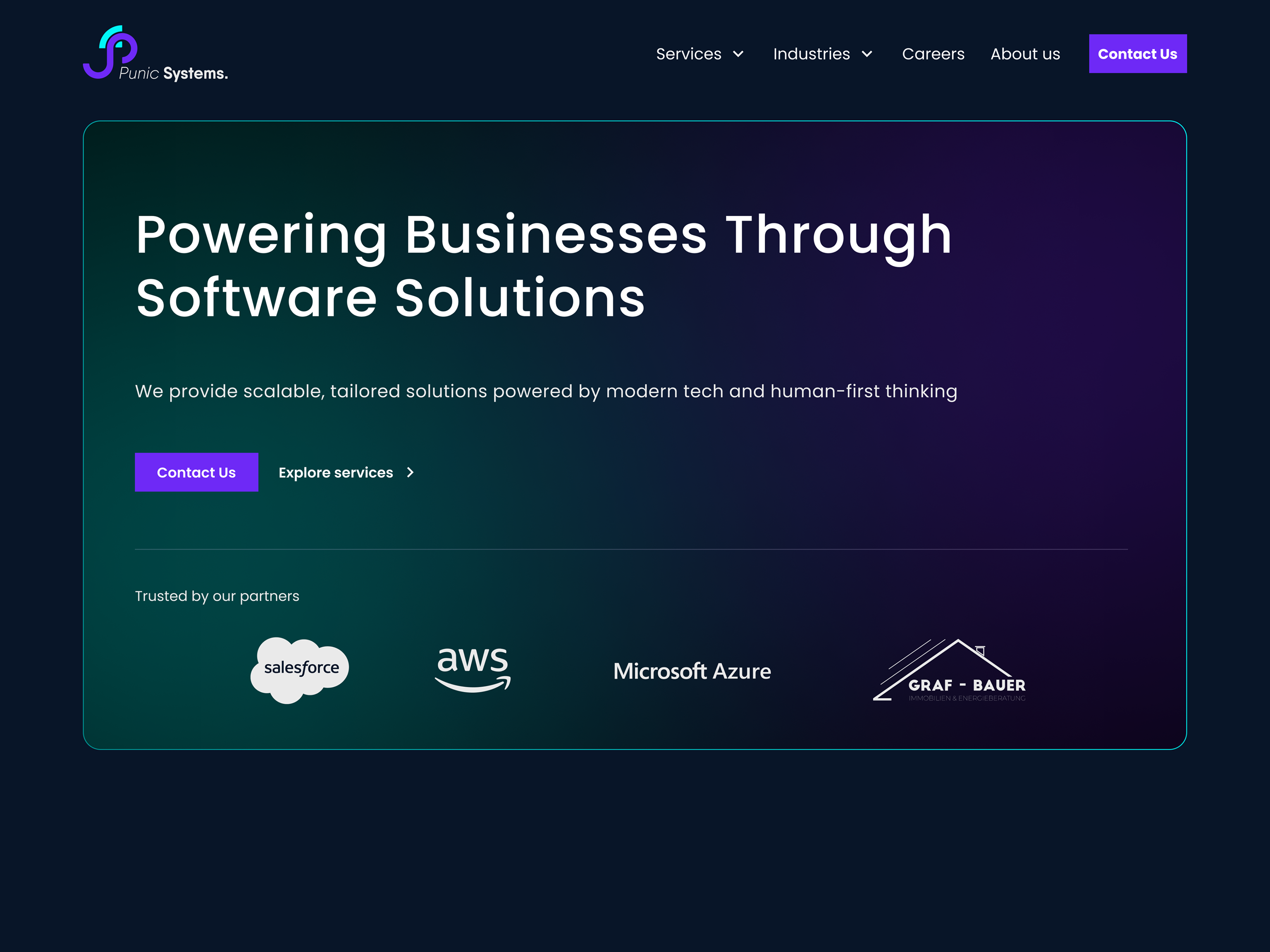 Punic Systems Website Design design product ui ux