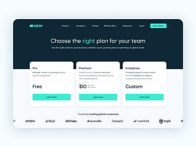Pricing Page fintech graphic design pricing web web design