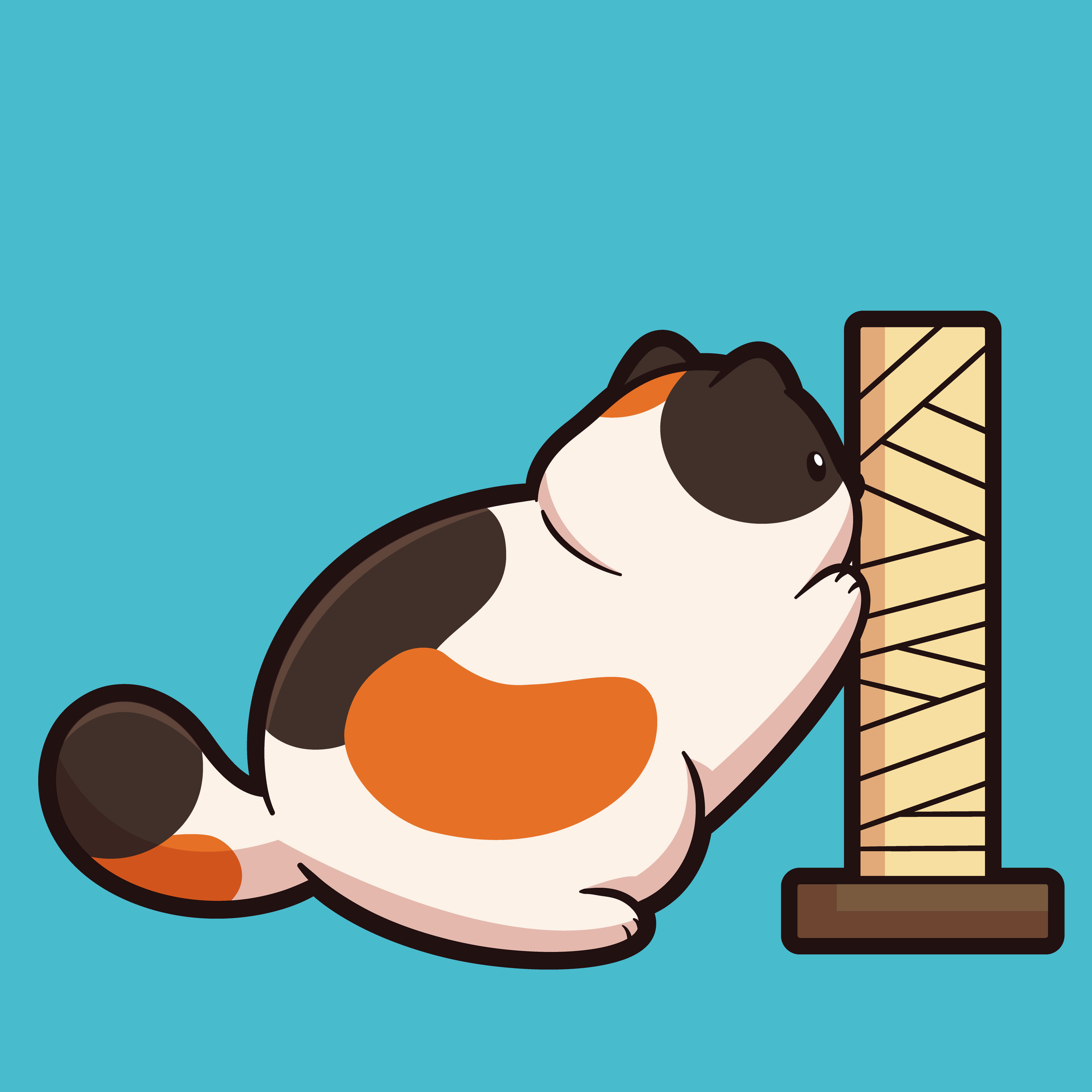 Happy Cat is scratching a pole meow