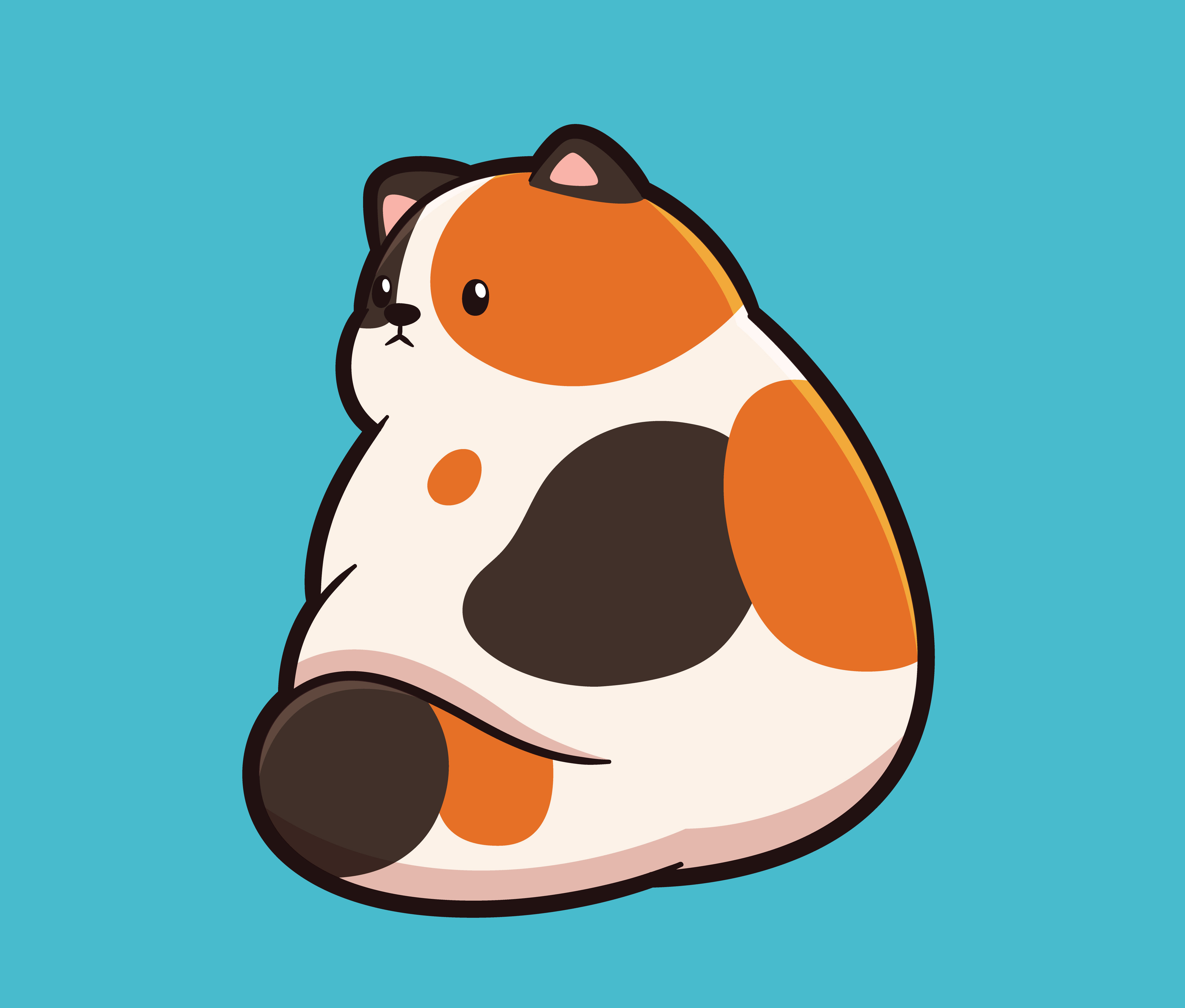 Cute fat cat standing with his back to the camera meow