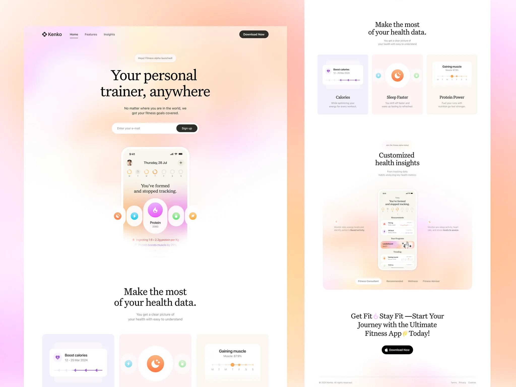 Example of Website Design + No Code Development