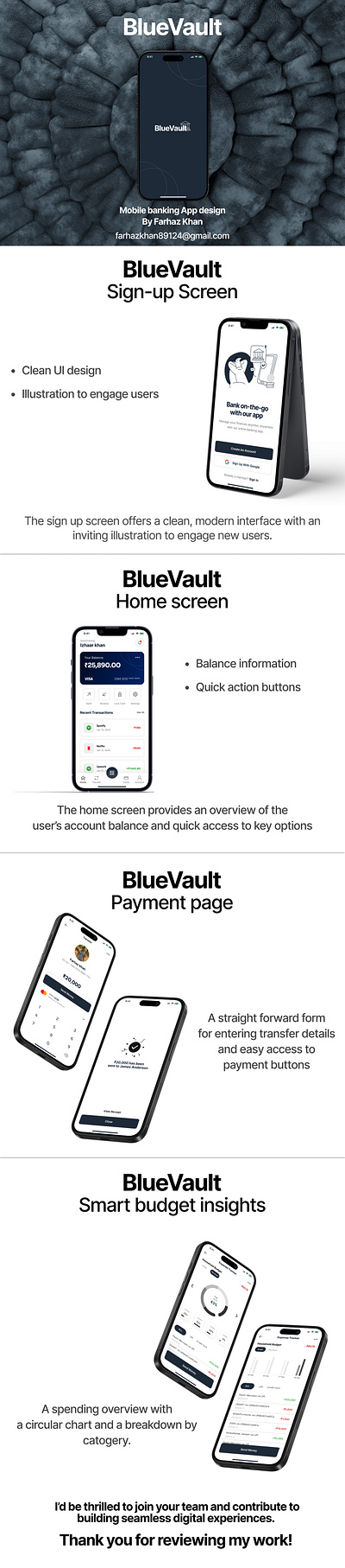 BlueVault graphic design ui