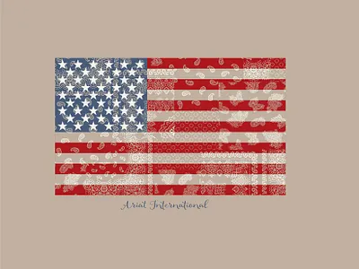 Bandana Flag american flag americana bandana graphic design patriotic tee shirt western