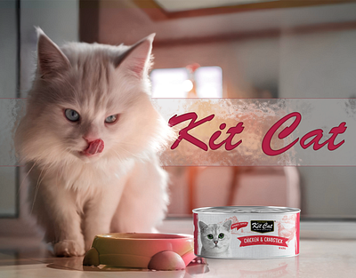 Kit Cat Food Can a content a content design amazon a conten amazon a modules amazon ebc design amazon enhanced brand content amazon listing amazon listing optimization amazon product amazon product images brand story design ebc design ecommerce design listing listing image listing image design premium a content product design storefront listing storefront listing images