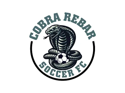 Logo Design branding graphic design logodesign vector