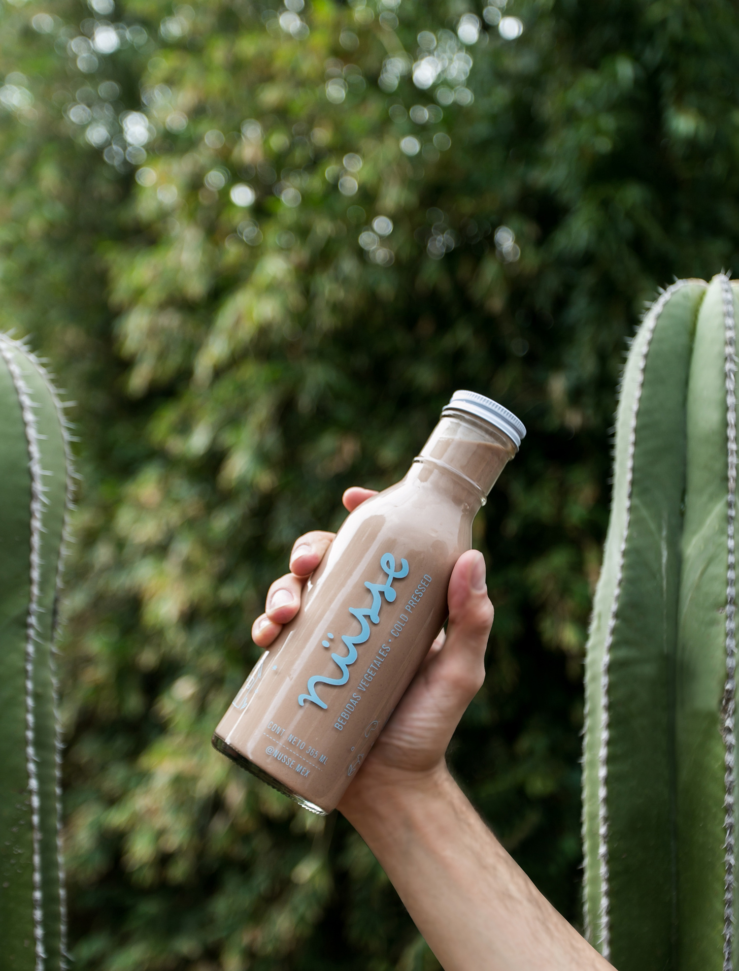 Nüsse branding drinks graphic design illustrator logo packaging photograph vector