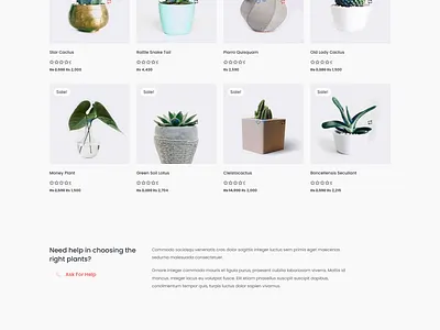 Plants E-commerce Website add to cart ecommerce store elementor online brand product listing web designing website development woocommerce wordpress