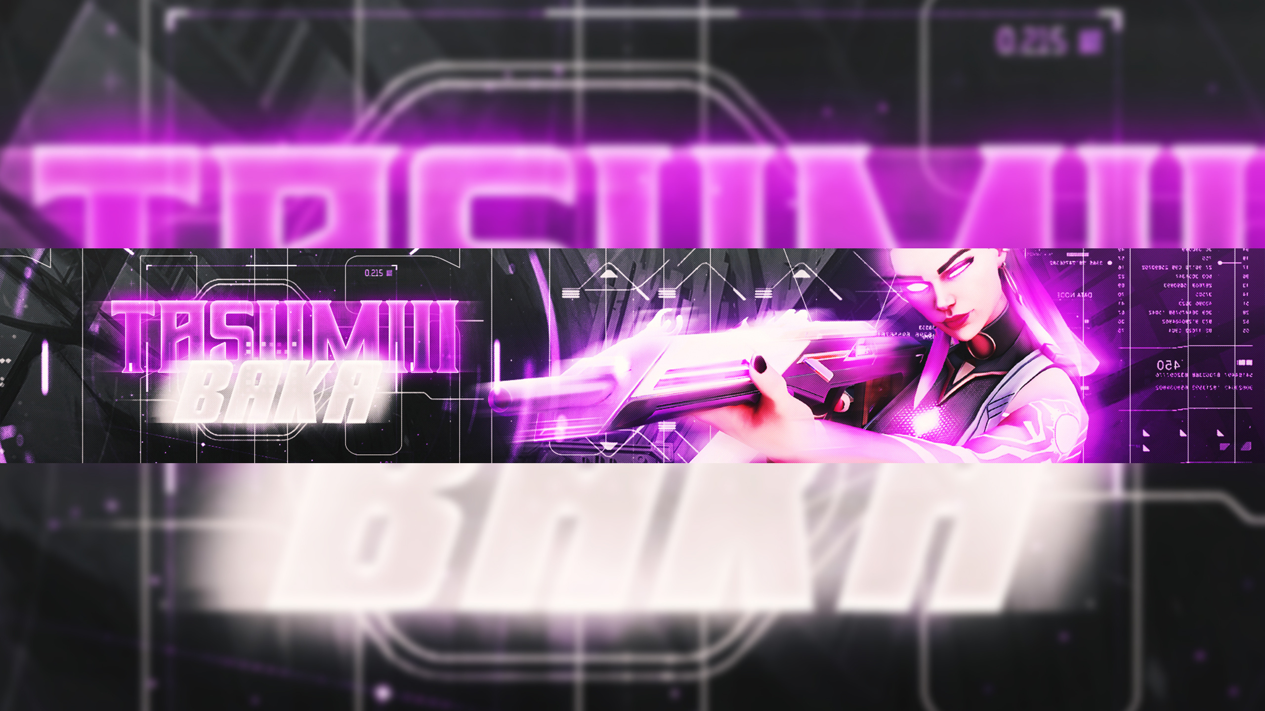 Example of I'll Design 3D Valorant Banner & Logo