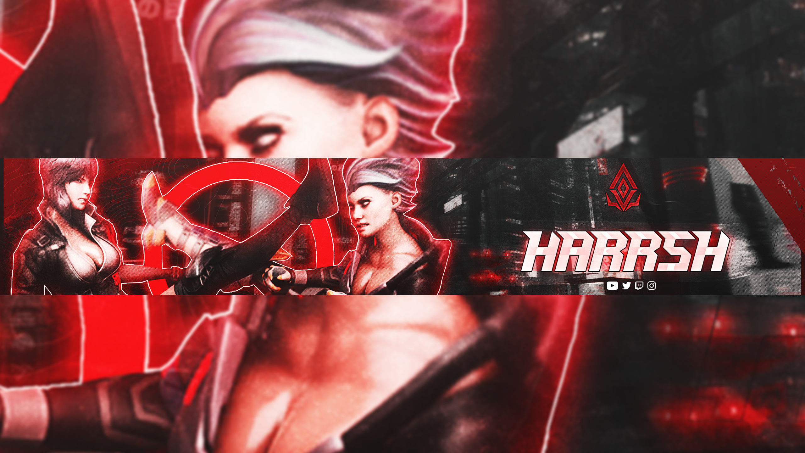 Example of I'll Design 3D Valorant Banner & Logo