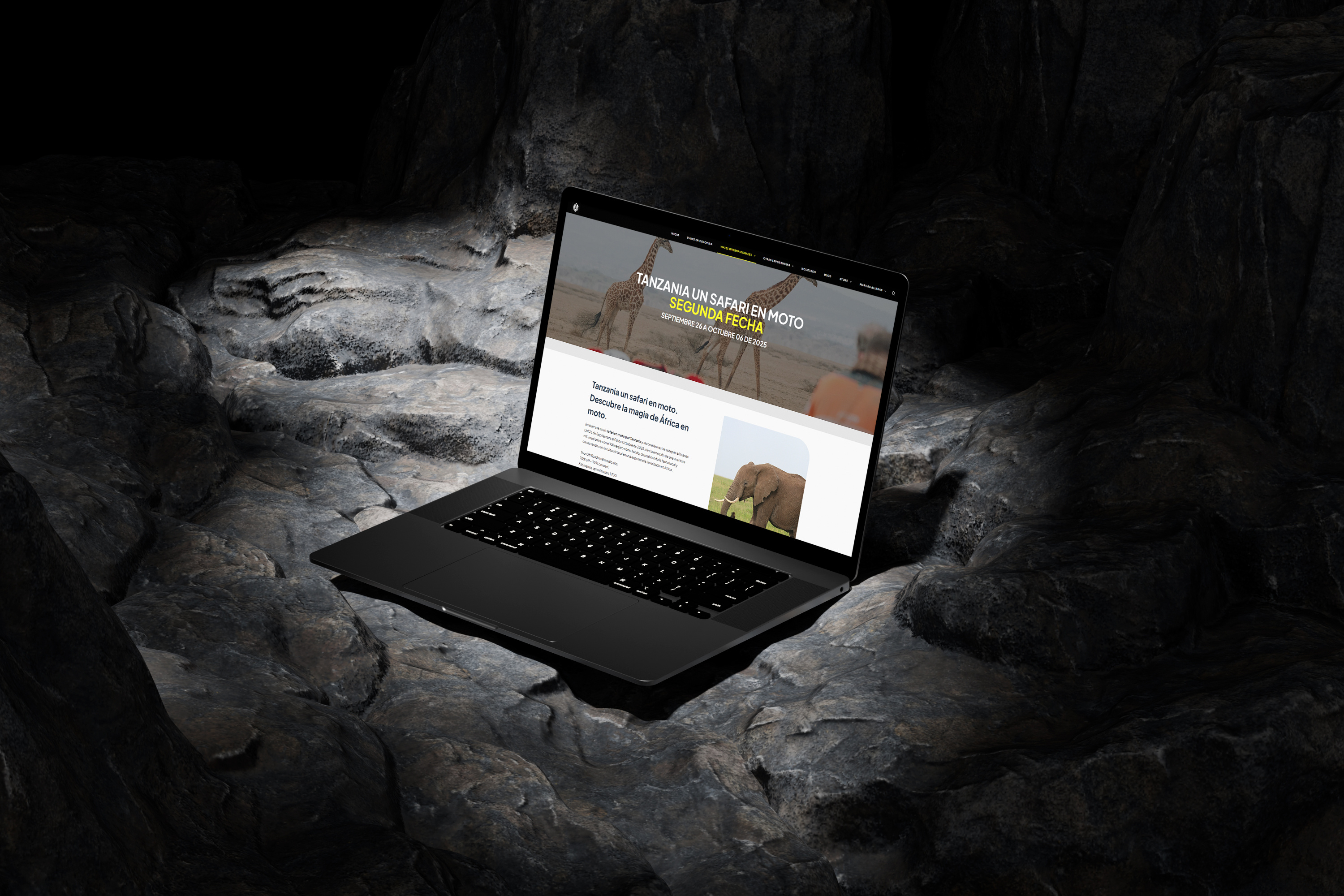 Example of Website Design For Modern Brands