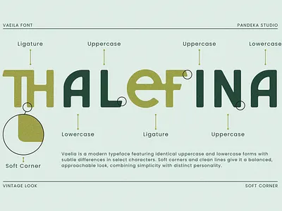 Vaelia - Elegant & Playful Sans eco