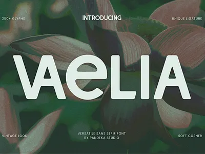 Vaelia - Elegant & Playful Sans floral