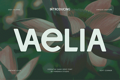 Vaelia - Elegant & Playful Sans floral
