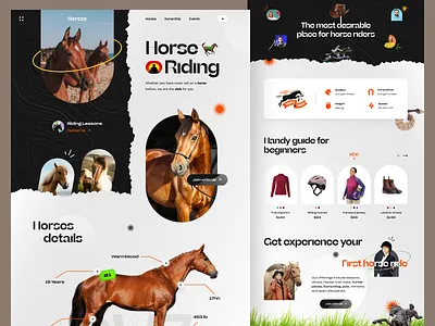 Horsey - Horse Equitation Website hobby horse horse cheval horse comminuty horse equine horse equitation horse equitation website horse pony horse racing horse riding horse riding website horse show horse website horsemanship landing page landingpage web design webdesign website design website designer