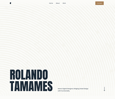 Portfolio Website design designer layout portfolio typography ui ux web website