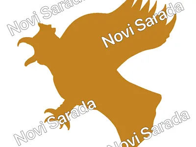 Garuda aesthetic animal art artistic background color design gold graphic design illustration nature pattern shapes texture wallpaper