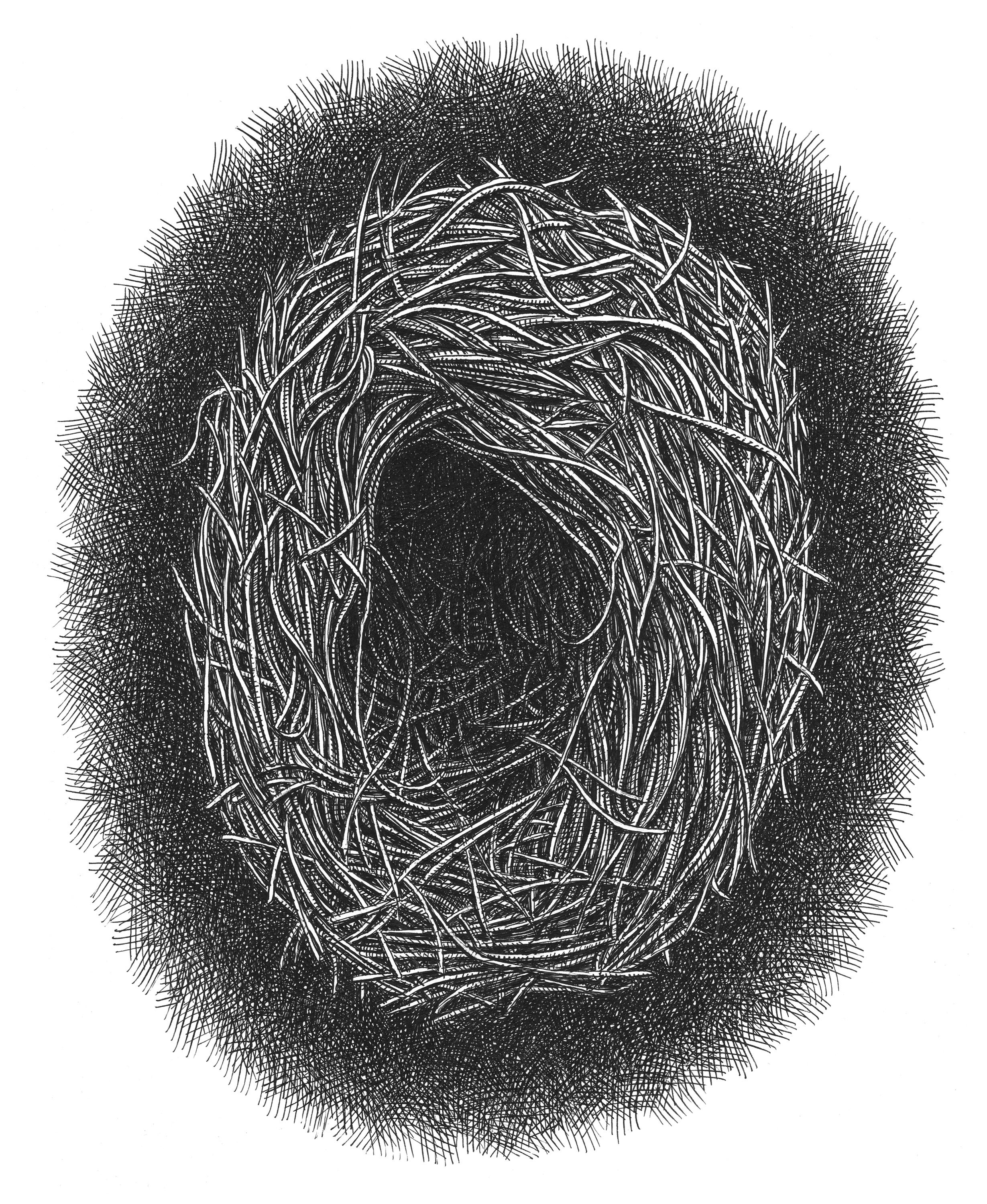 Nest art artist artwork birds drawing hand drawn illustration ink nature