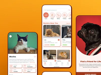 Pet Adoption App adoption branding design figma gradient illustration light mobile orange pet red senior ui ux
