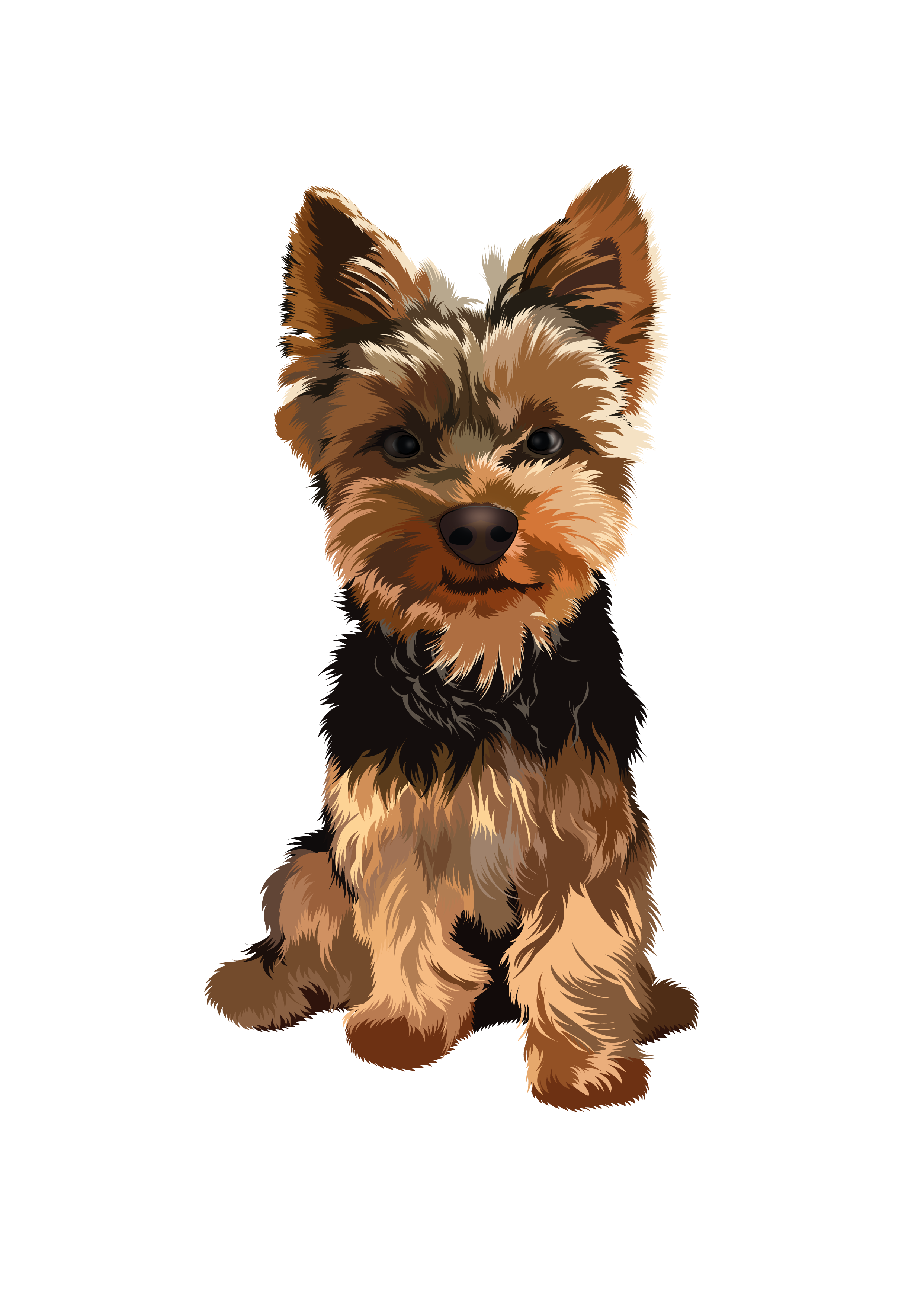 yorkshire terrier art digitalart dog dogart dogportrait graphic design illustration pet petart portrait terrier vector yorkshire terrier