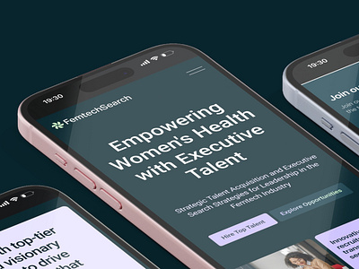 FemtechSearch web design developemnt website websitedesign