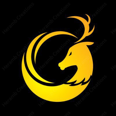 Example of Visual Brand Identity Creation