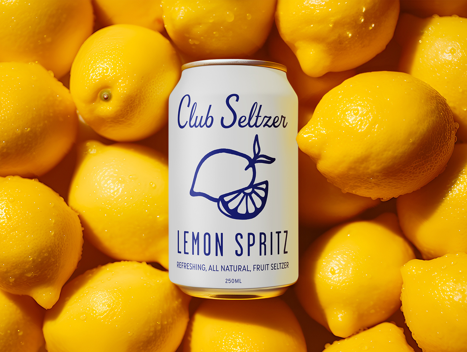 Example of Iconic Identity Package