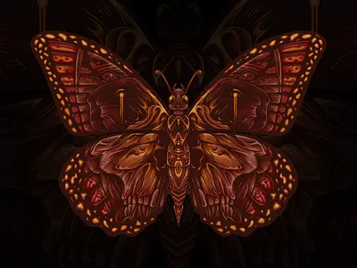 Skull Morpho art artwork darkart design digital art illustration logo