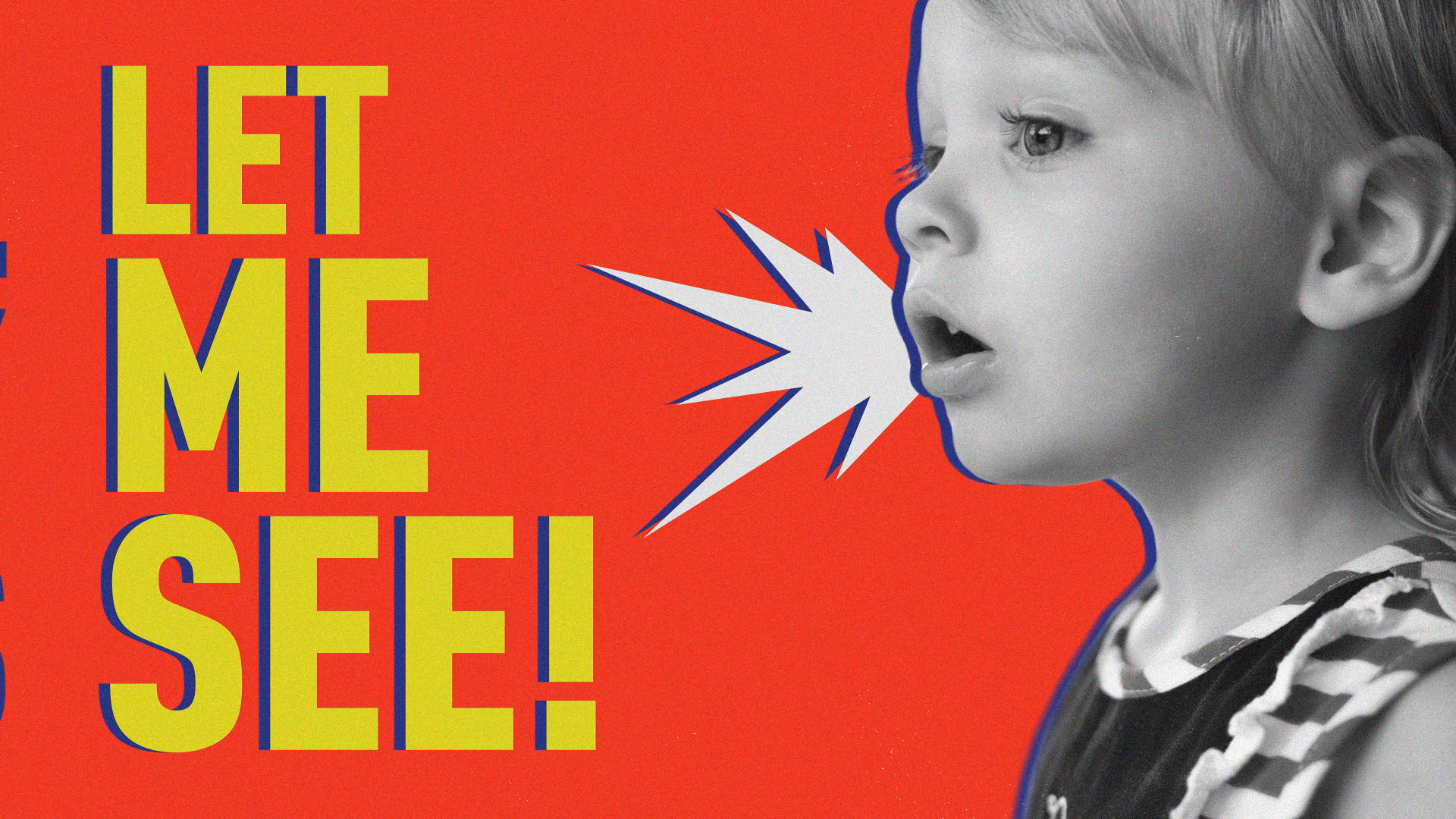 doodlE Personal Branding animation branding graphic design logo motion graphics