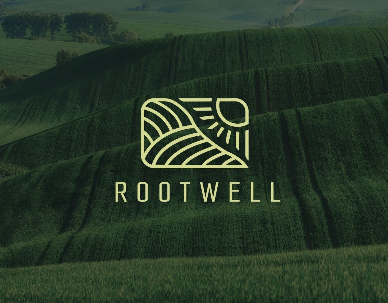 Rootwell | Brand Identity | Social Media Design brand identity branding design graphic design graphic designer homepage layout logo packaging plants social media social media ad social media post ui ui ux visual identity visualidentity web webdesign website