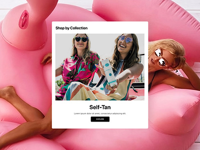 Fake Bake | eCommerce Collection Card card ui collection fake tan fakebake flamingo inflatable pink self tan tanning lotion website website ui young women
