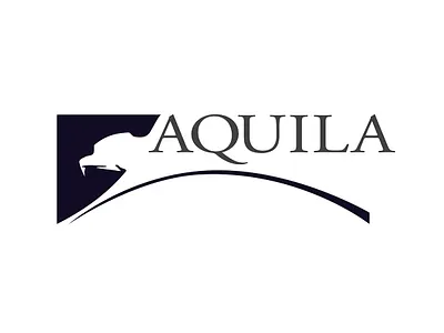 Aquila Graphic Design | Logo animal symbolism aquila branding bold branding business logo corporate identity eagle logo elegant logo design logo design logo with icon luxury branding minimalist logo modern classic logo monochrome design professional logo serif typography strategic branding strength and precision strong visual identity visual storytelling