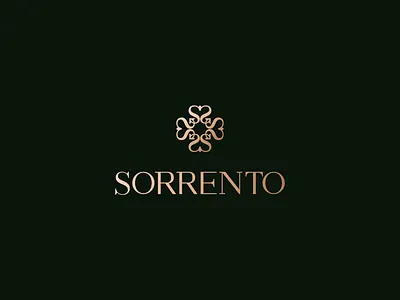 Luxury and Elegance brand identity branding clothing brand elegant exclusive fashion brand graphic design high end hotel logo logo designer luxurious luxury luxury brand luxury clothing brand design luxury design luxury logo minimalist modern s letter