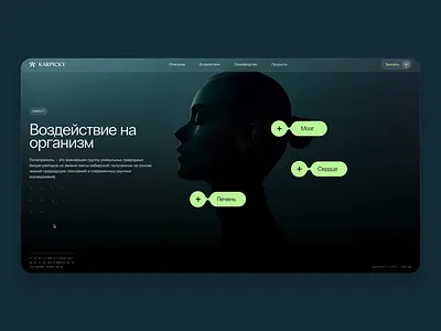 Karpicky Web Design — Biofuturistic Longevity Product ai animation biofuturism biotech branding cellularhealth graphic design healthtech longevity midjourney motion graphics nutraceutical pharmabranding runway supplementdesign ui wellness