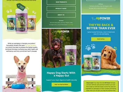 K9 Power Email Designs graphic design