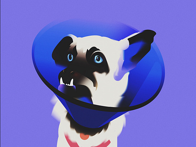 Brave Little Pup — Illustration for Animal Charity animal blue character charity collar cone cute dog eyes fang head hospital illustration pet pup puppy recovery vector vet collar veterinary
