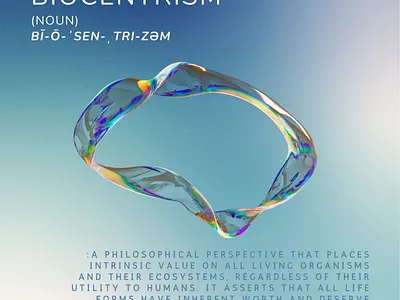 Social Media Content